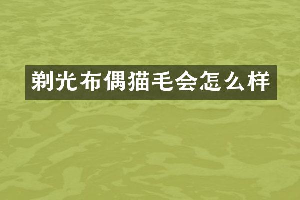 剃光布偶猫毛会怎么样