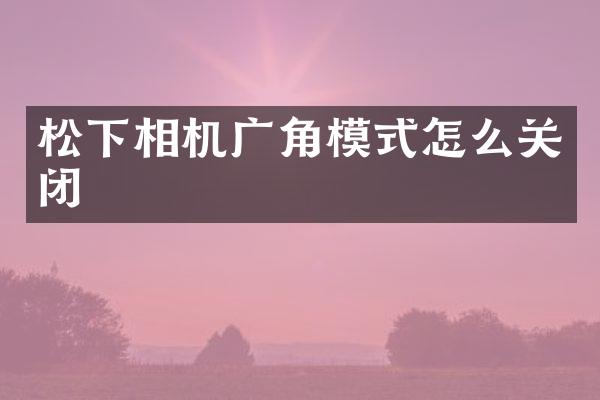 松下相机广角模式怎么关闭