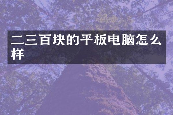 二三百块的平板电脑怎么样