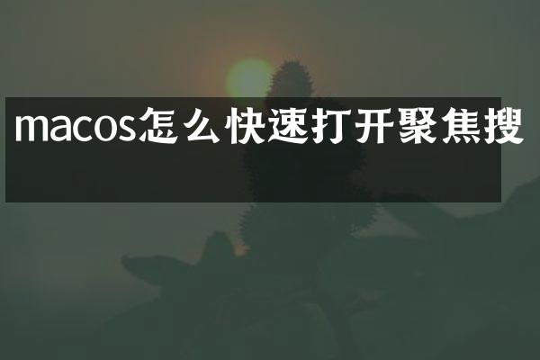 macos怎么快速打开聚焦搜索