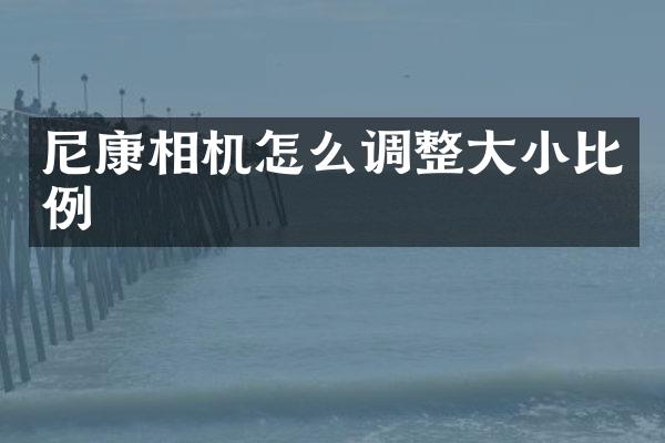 尼康相机怎么调整大小比例