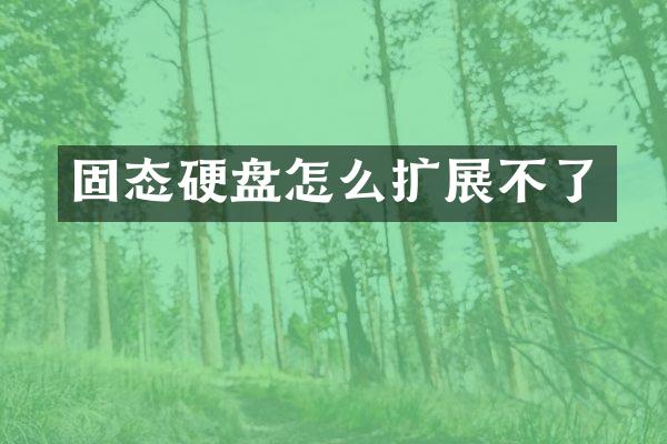 固态硬盘怎么扩展不了