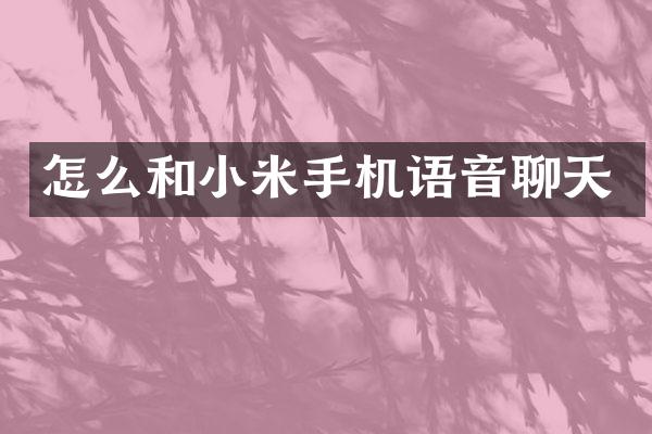 怎么和小米手机语音聊天