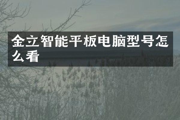 金立智能平板电脑型号怎么看