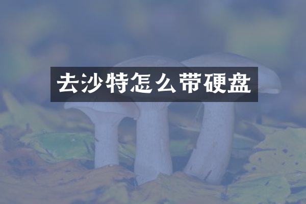 去沙特怎么带硬盘