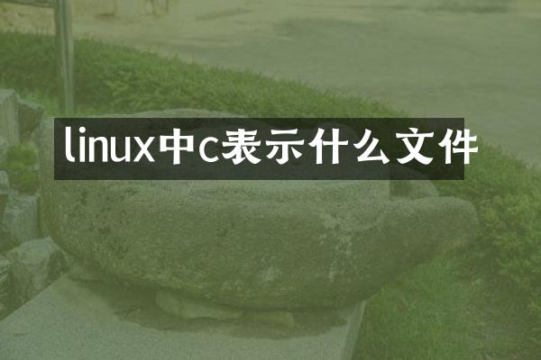 linux中c表示什么文件