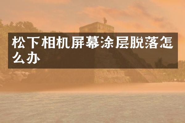 松下相机屏幕涂层脱落怎么办