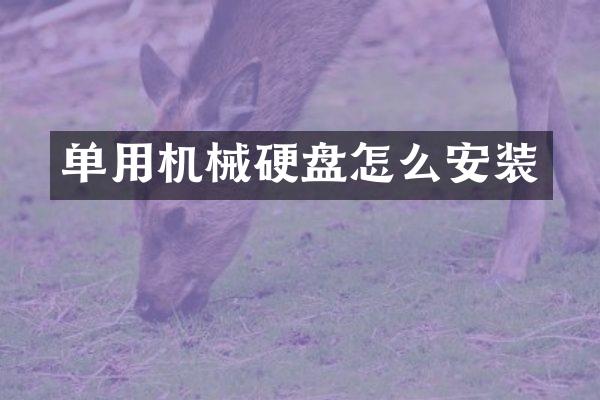 单用机械硬盘怎么安装