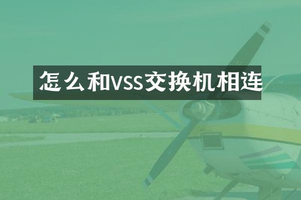 怎么和vss交换机相连