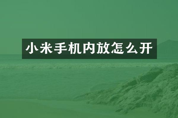 小米手机内放怎么开