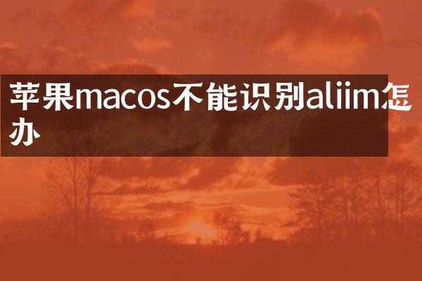 苹果macos不能识别aliim怎么办