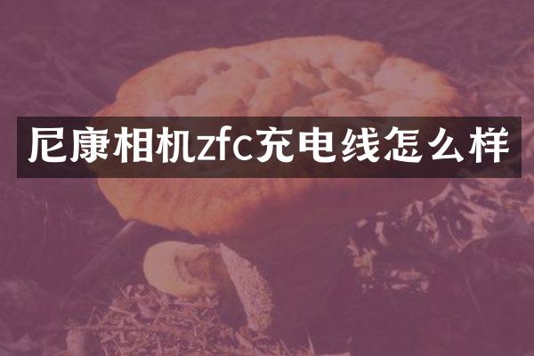 尼康相机zfc充电线怎么样