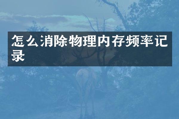 怎么消除物理内存频率记录