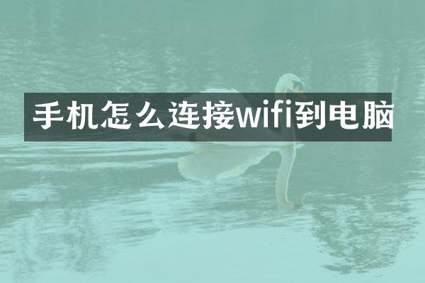手机怎么连接wifi到电脑