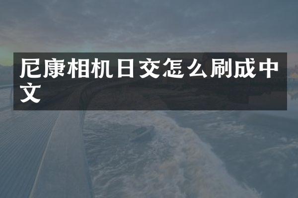 尼康相机日交怎么刷成中文