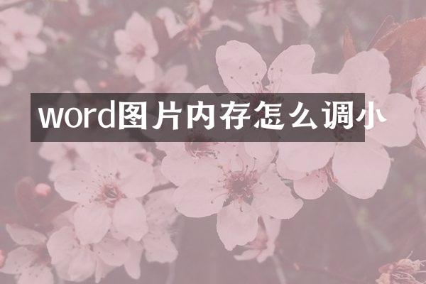 word图片内存怎么调小