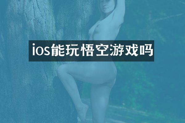 ios能玩悟空游戏吗