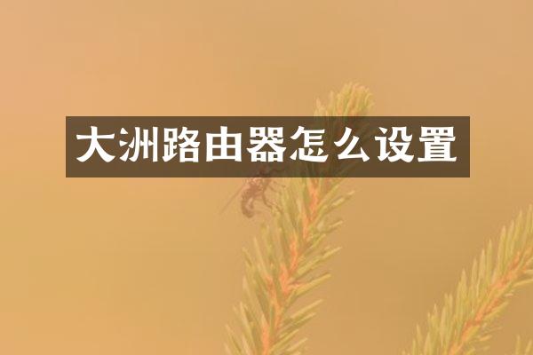大洲路由器怎么设置