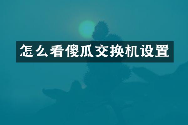 怎么看傻瓜交换机设置