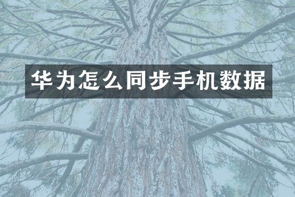 华为怎么同步手机数据