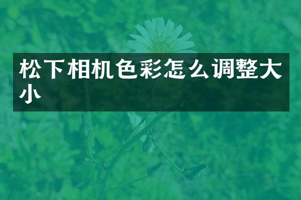 相机色彩怎么调整大小