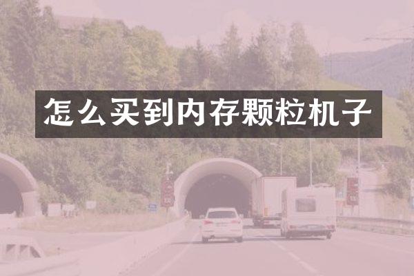 怎么买到内存颗粒机子