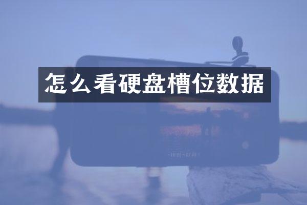 怎么看硬盘槽位数据
