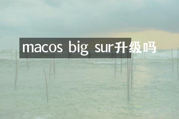 macos big sur升级吗