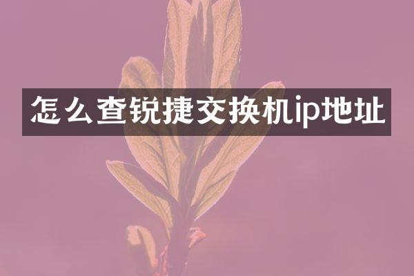 怎么查锐捷交换机ip地址