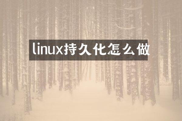 linux持久化怎么做
