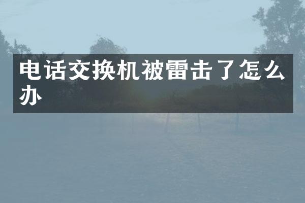 电话交换机被雷击了怎么办