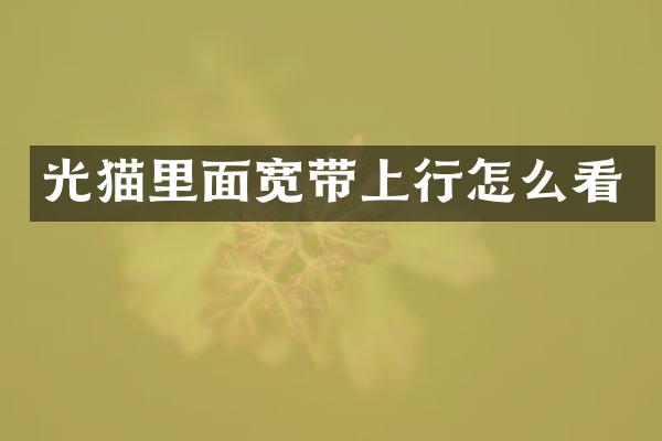 光猫里面宽带上行怎么看