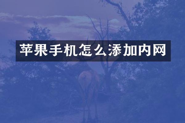 苹果手机怎么添加内网