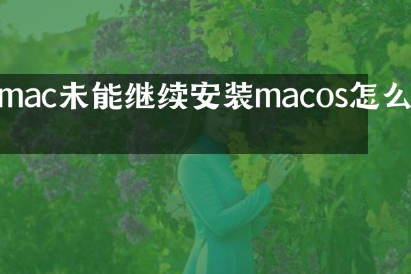mac未能继续安装macos怎么办