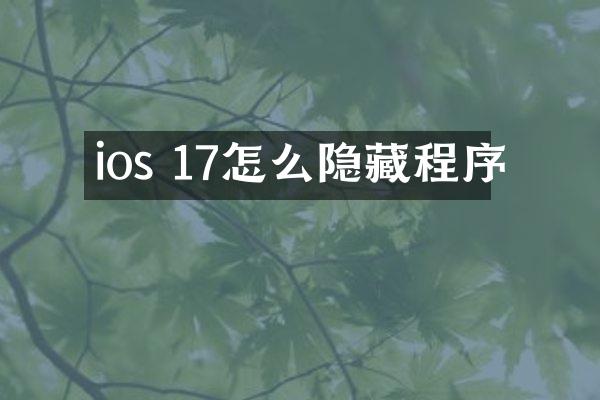 ios 17怎么隐藏程序