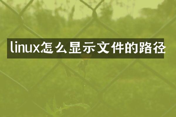 linux怎么显示文件的路径