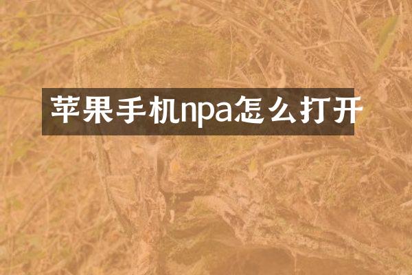 苹果手机npa怎么打开