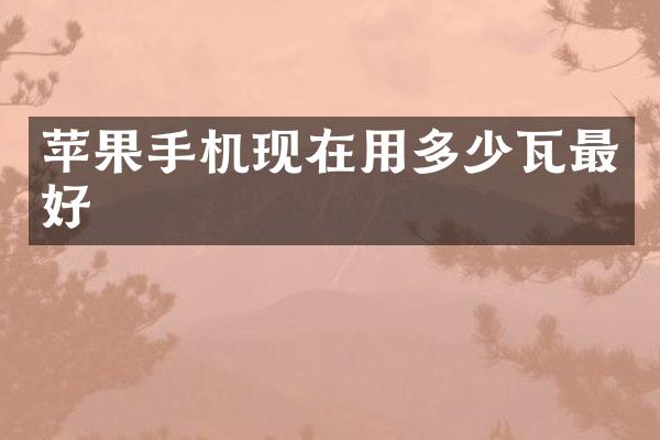 苹果手机现在用多少瓦最好