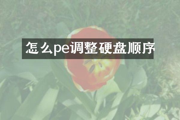 怎么pe调整硬盘顺序