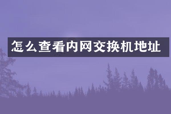 怎么查看内网交换机地址