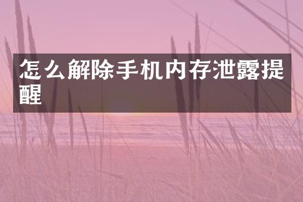 怎么解除手机内存泄露提醒