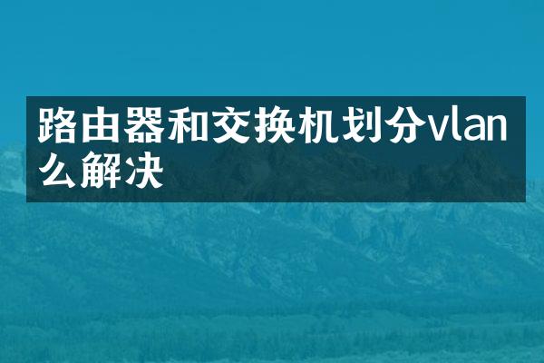 路由器和交换机划分vlan怎么解决