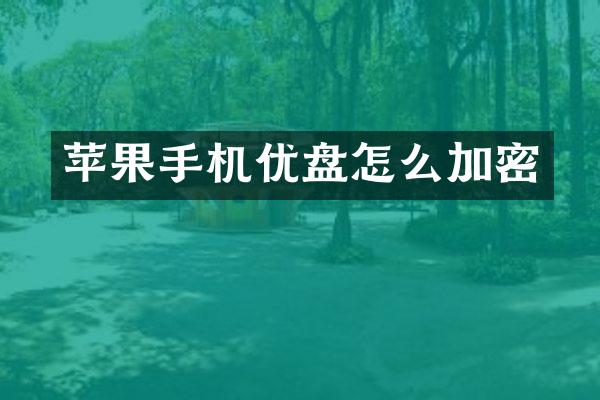 苹果手机优盘怎么加密