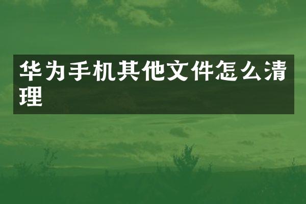 华为手机其他文件怎么清理