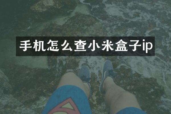 手机怎么查小米盒子ip