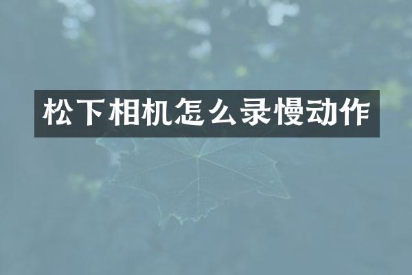 松下相机怎么录慢动作