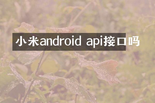 小米android api接口吗