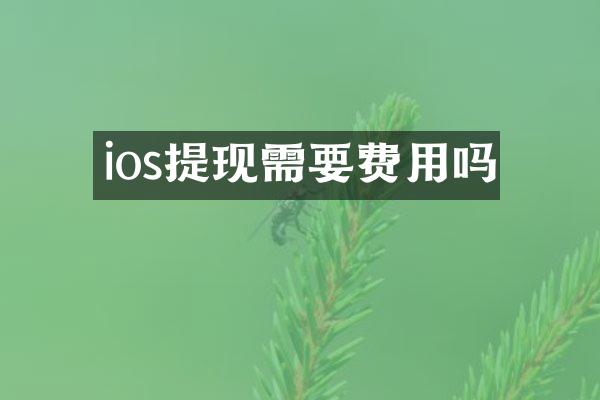 ios提现需要费用吗