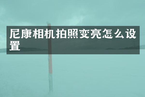 尼康相机拍照变亮怎么设置