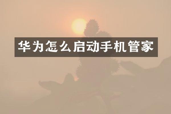 华为怎么启动手机管家